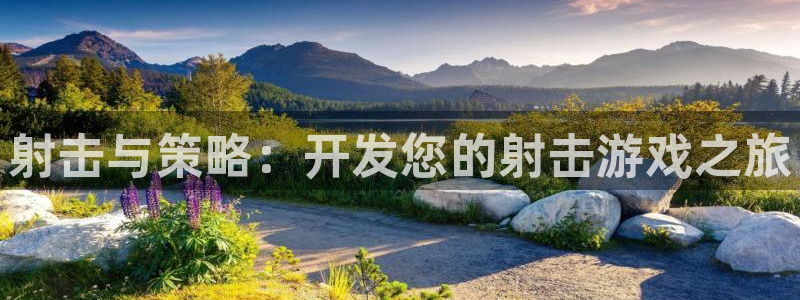 28大神苹果怎么下载：射击与策略：开发您的射击游戏之旅