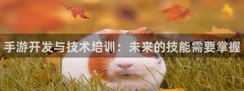 28大神官方开奖：手游开发与技术培训：未来的技能需要掌握