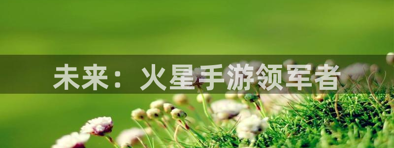 大神吧28预测：未来：火星手游领军者